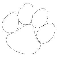 tiger paw